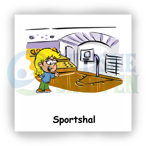 Daily routine pictogram for autistic people: sports hall, girl