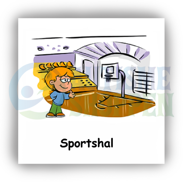 Daily routine pictogram for autistic people: sports hall, boy