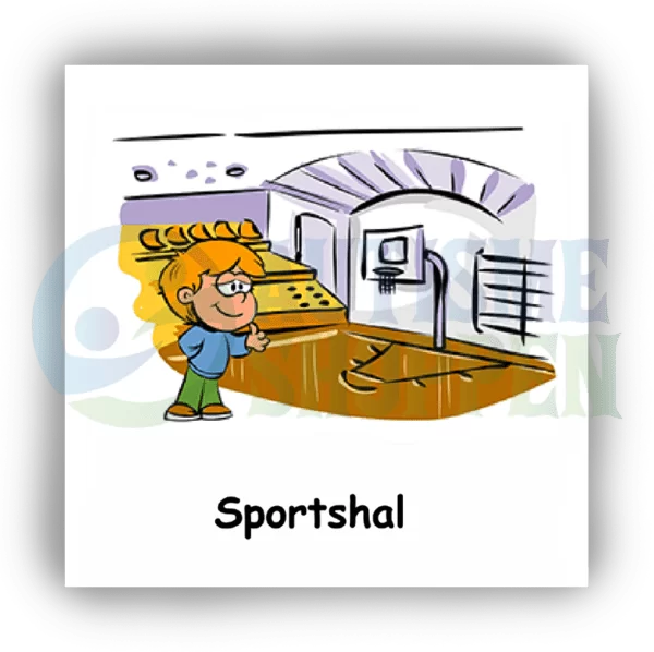 Daily routine pictogram for autistic people: sports hall, boy