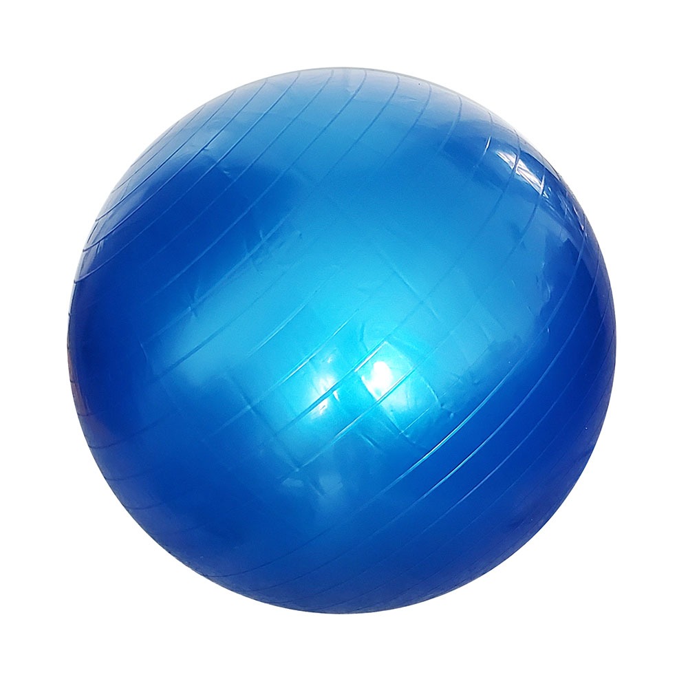 Træningsbold 55 cm, cm eller 75 cm, med pumpe - Autismeshoppen
