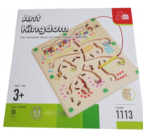 Ant Kingdom Magnetic Maze