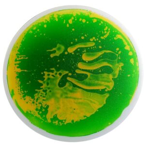 Sensorisk flise, rund, 50 cm grøn-gul