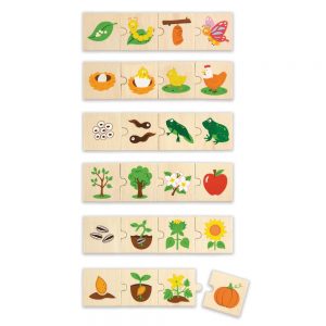 Life cycle jigsaw puzzles