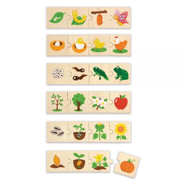 Life cycle jigsaw puzzles