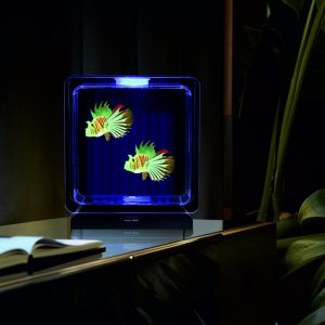 LED akvarie med tropiske fisk